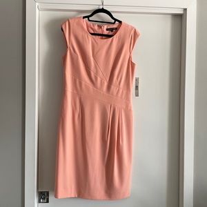 Brand New with Tag Size 10 Pale Pink Preston & York Dress